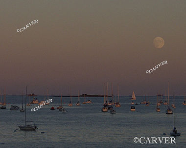 Moonrise Darkly
The moon rises above Beverly Harbor.
Keywords: Beverly; moonrise; beach; ocean; photograph; picture; print