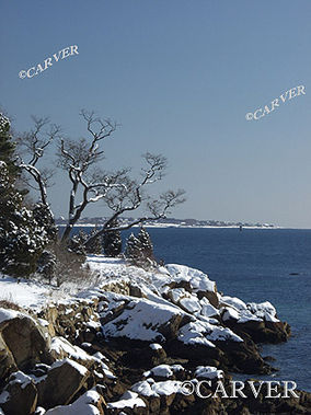 Snow Rocks II
Bakers Island is in the background seen here from Hale St. 
in Beverly, MA on a blue sky January day.
Keywords: Beverly; coast; island; winter; snow; ice; beach; ocean; photograph; picture; print