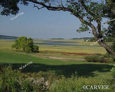 Cox Reservation Essex, MA 
On a steamy summer day this view looks out over the Essex River.
Keywords: Cox Reservation; Essex river; photograph; picture; summer