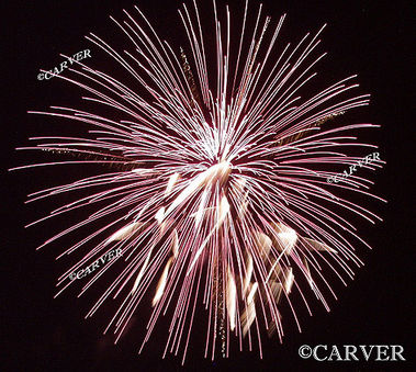 Bursting
A shell-burst from the Danvers Family Festival fireworks.
Keywords: fireworks; Danvers; picture; photograph; print