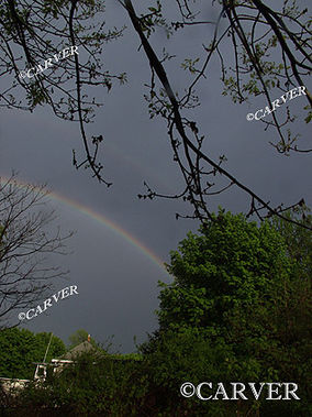 Part of a Double
A double rainbow seen through trees in Topsfield, MA
Keywords: Rainbow; photograph; picture