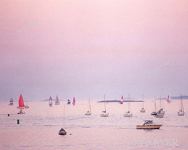 Pinked Beach
Colors of the twilight sky opposite of the sunset are seen here 
in this view from Independence Park in Beverly, MA.
Keywords: Beverly; sunset; beach; ocean; pink; boats; photograph; picture; print