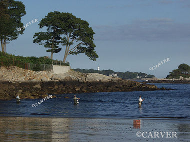 Catching Dinner at West Beach
Three fishermen are hopeful for a catch at West Beach in Beverly Farms.
Keywords: Beverly; fishing; West Beach; ocean; photograph; picture; print