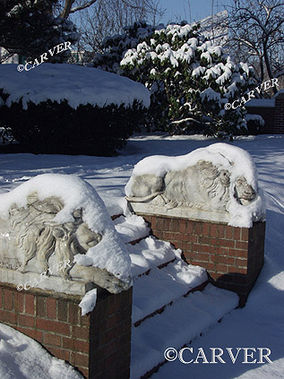 King's Hibernation
The lion statues in the Rose Garden at Lynch Park in Beverly, MA 
rest comfortably under a fresh blanket of snow.
Keywords: Rose Garden; Beverly; winter; snow; ice; lion statues; ocean; photograph; picture; print