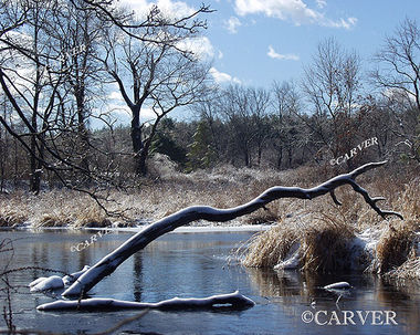 Stilled Reach
A branch reaches upwards from a frozen Ipswich River in Topsfield, MA near Bradley Palmer State Park.
Keywords: Winter; Ipswich river; photograph; picture
