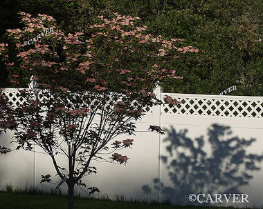 From a front yard off of Asbury St. in Hamilton, MA. The contrasts of the light and the shapes here were the appeal to the lens.
Keywords: photograph; picture; print