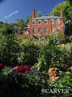 Petals and Bricks
An old industrial building stands behind the Garden at the Ropes Mansion in Salem, MA.
Keywords: salem; flowers; brick; church; ropes mansion; photograph; picture; print; garden